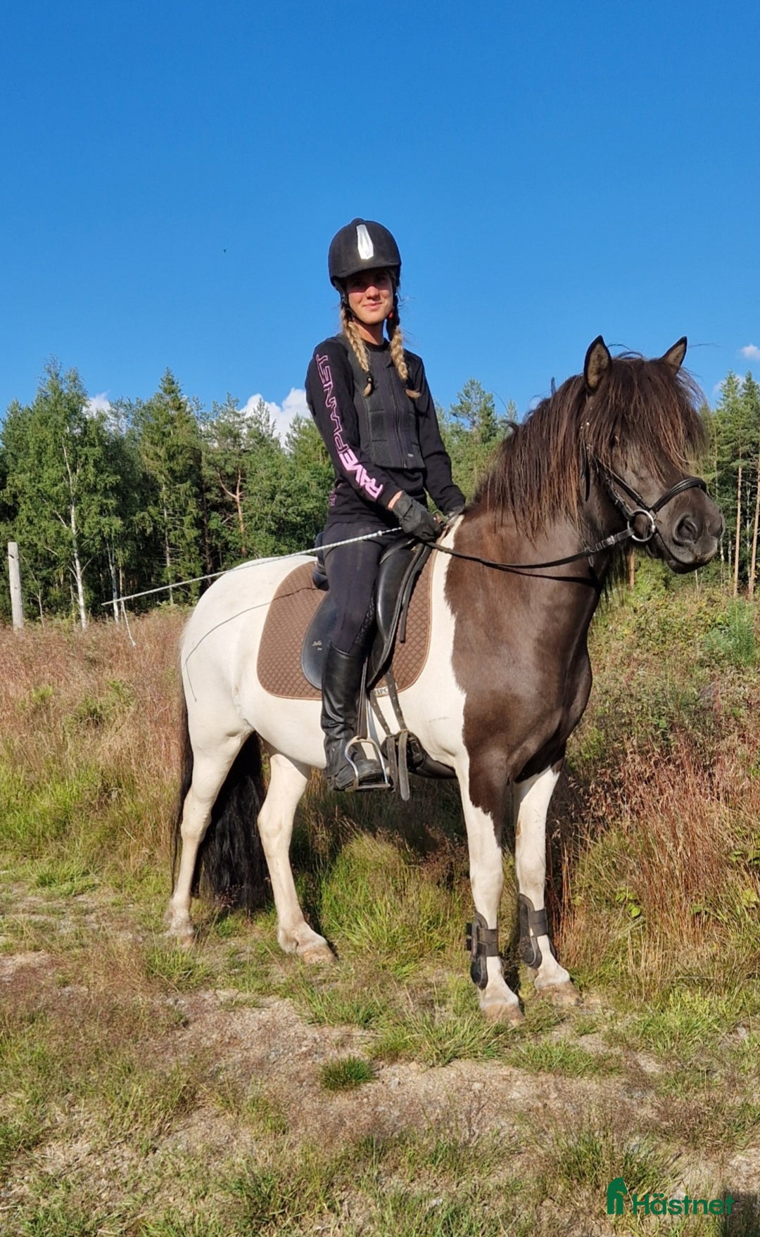 Övrigt hästar till salu: Islandssto i Åseda - Annons 3