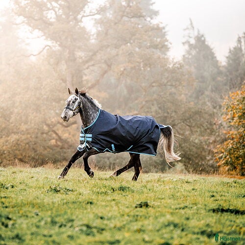 Täcken hästutrustning till salu: NYTT! Horseware amigo bravo 12 lite stl 130.  - Annons 12