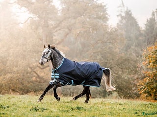Täcken hästutrustning till salu: NYTT! Horseware amigo bravo 12 lite stl 130. - Annons 12