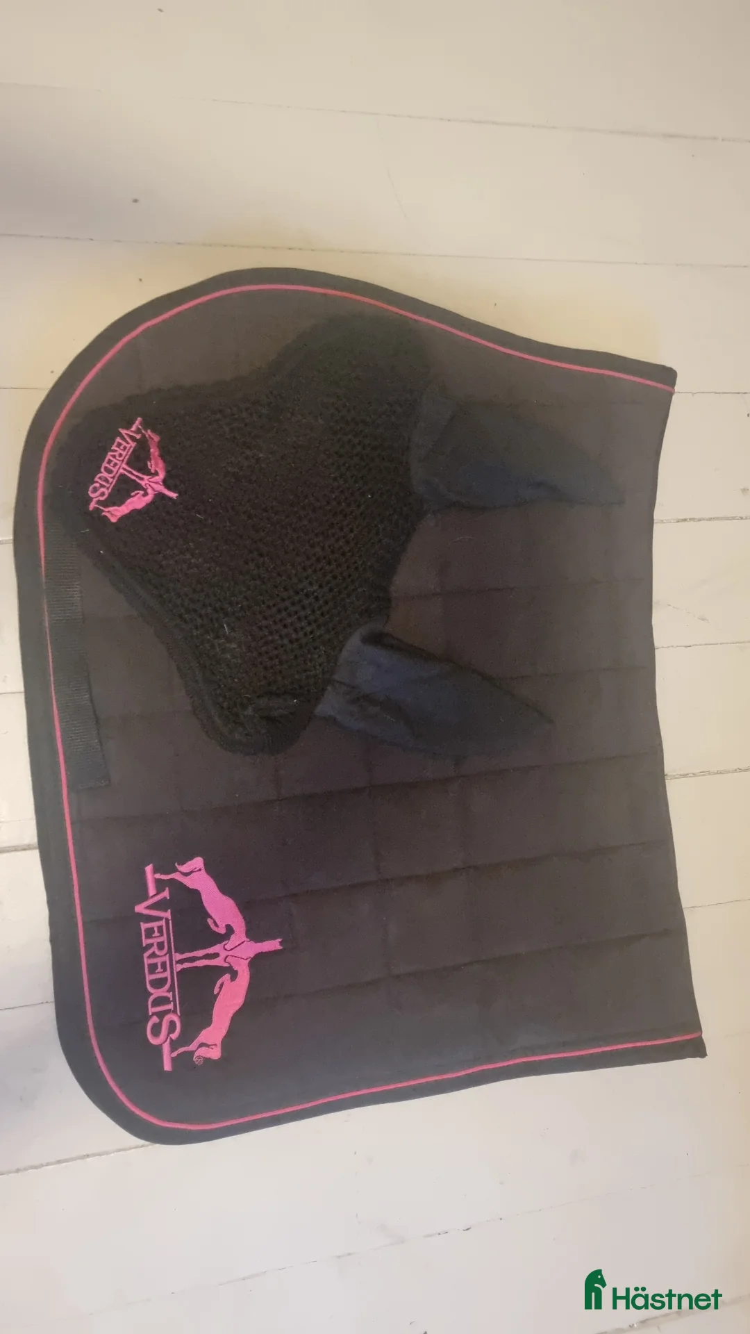 Schabrak & Vojlockar hästutrustning till salu: schabrak, huvor, benskydd och pannband i Osby - Annons 2