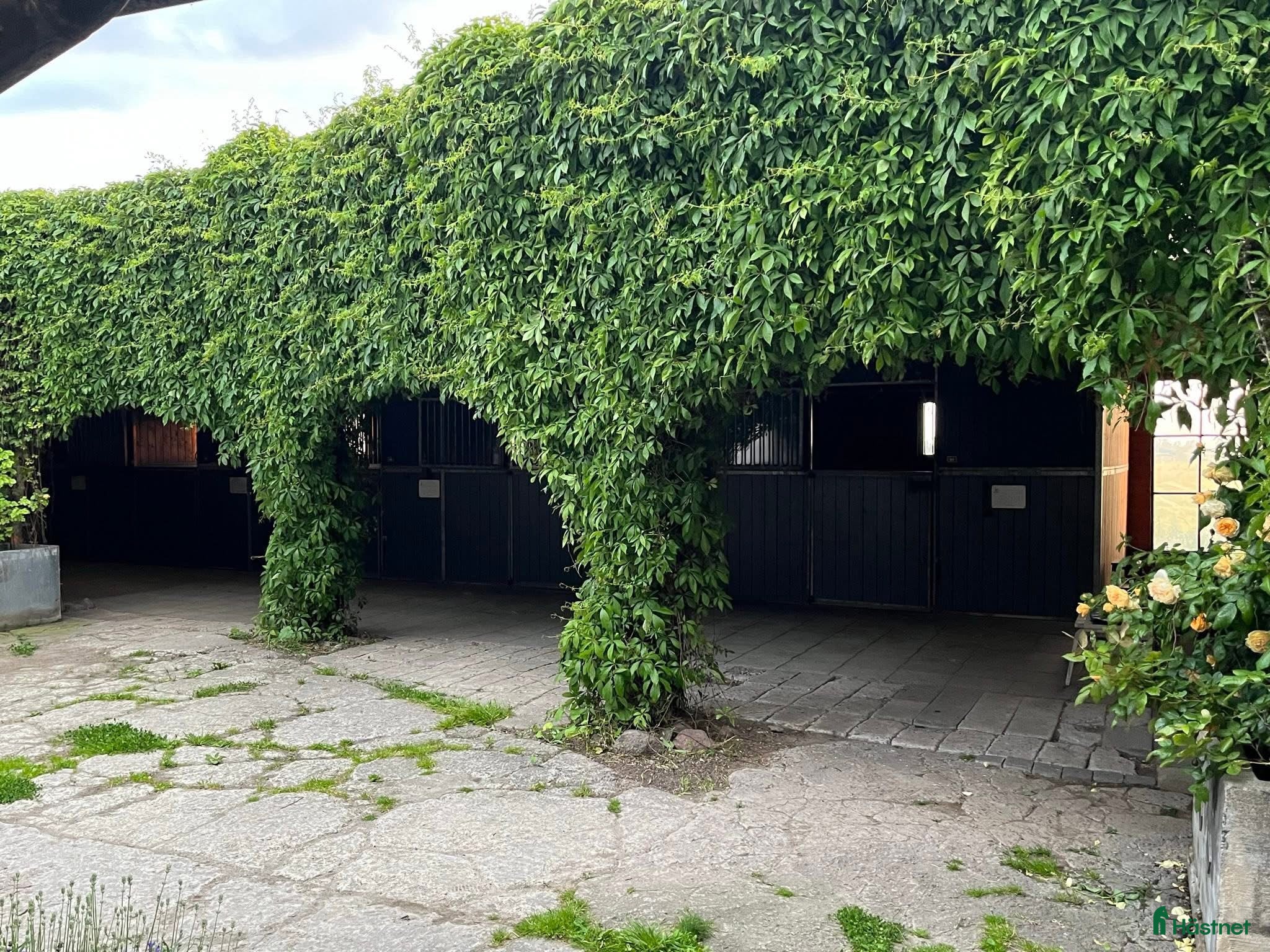  stallplats Stallplats Kungstorp Ridcenter Höllviken  - Annons 15