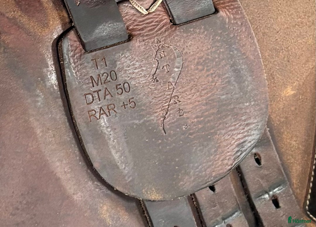 Sadlar hästutrustning till salu: Antares Connexion i Enköping - Annons 3