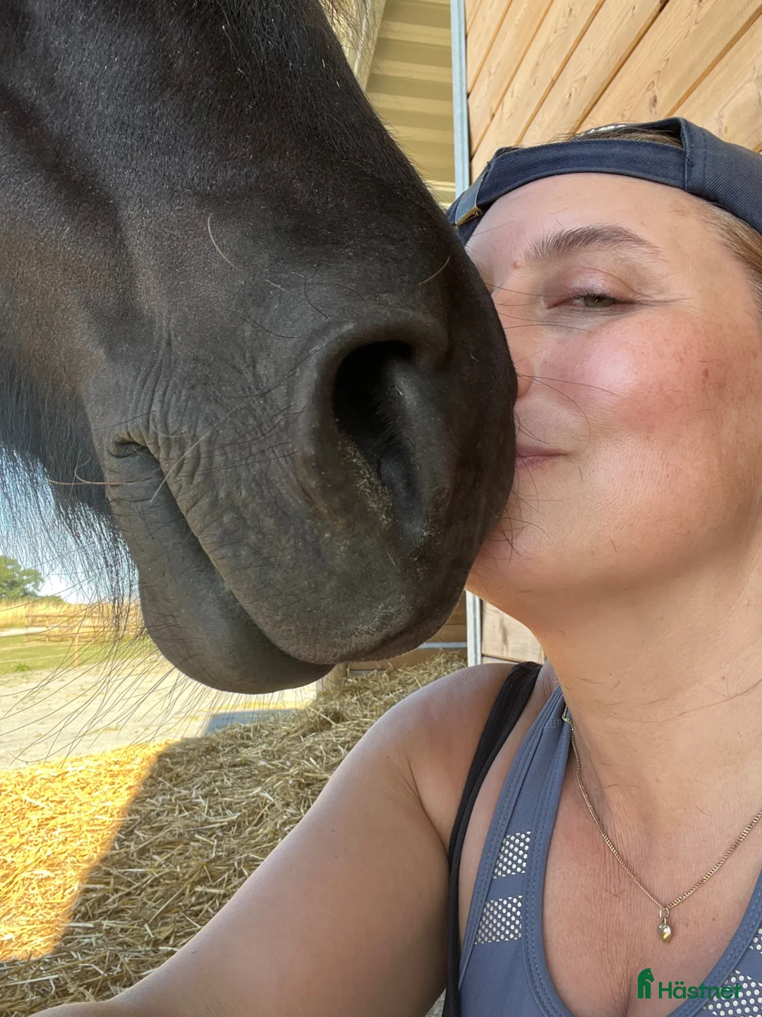 Sällskap hästar till salu: Underbara Majsan söker nytt hem i Anderslöv - Annons 3