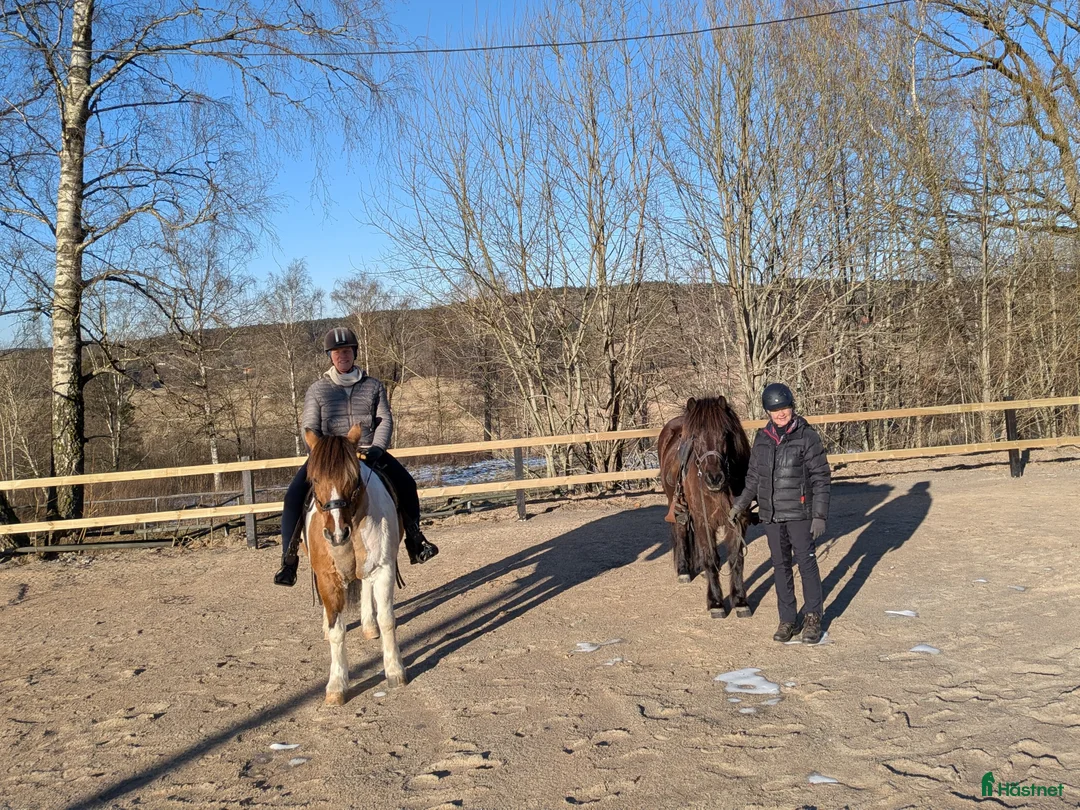  stallplats finnes: Stallplats finns i Kungsbacka - Annons 8