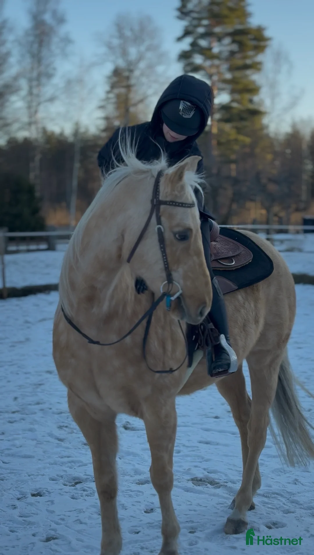  hästjobb finnes: Söker hästjobb! i Mjölby - Annons 1