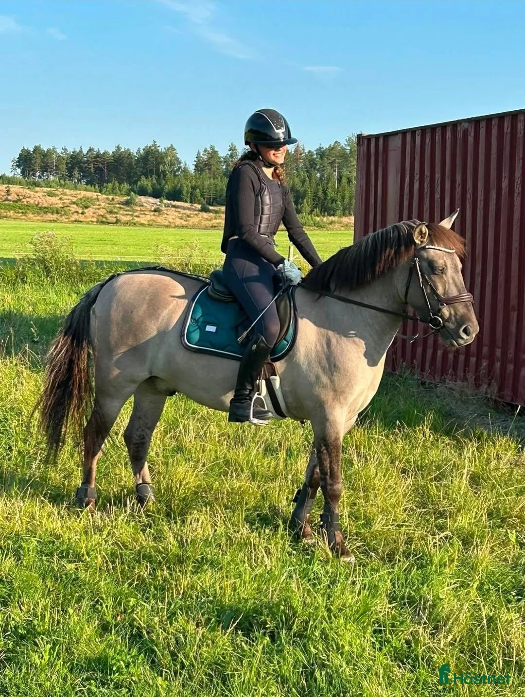 Sadlar hästutrustning till salu: Sadel Sökes! i Katrineholm - Annons 3