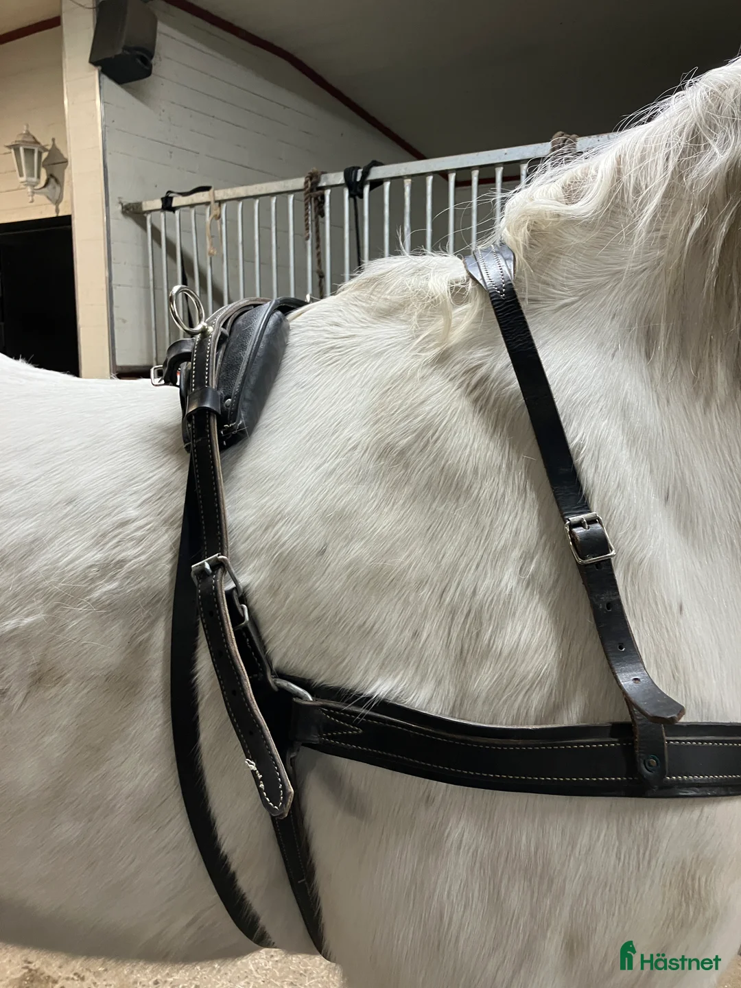 Körselar körning till salu: Bröstsele stl full i Vintrosa - Annons 2