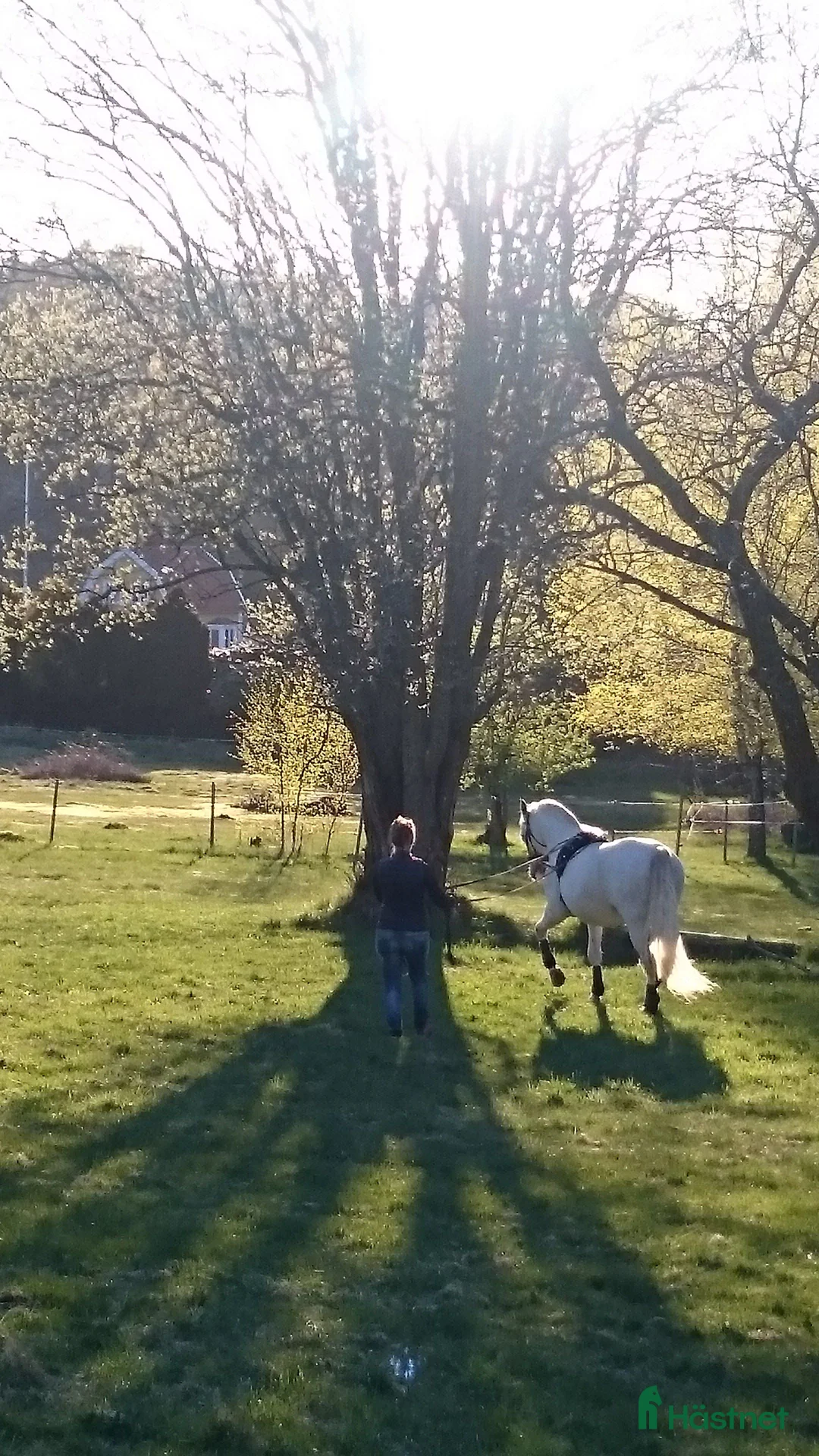 stallplats finnes: Box i centrala Göteborg  - Annons 7