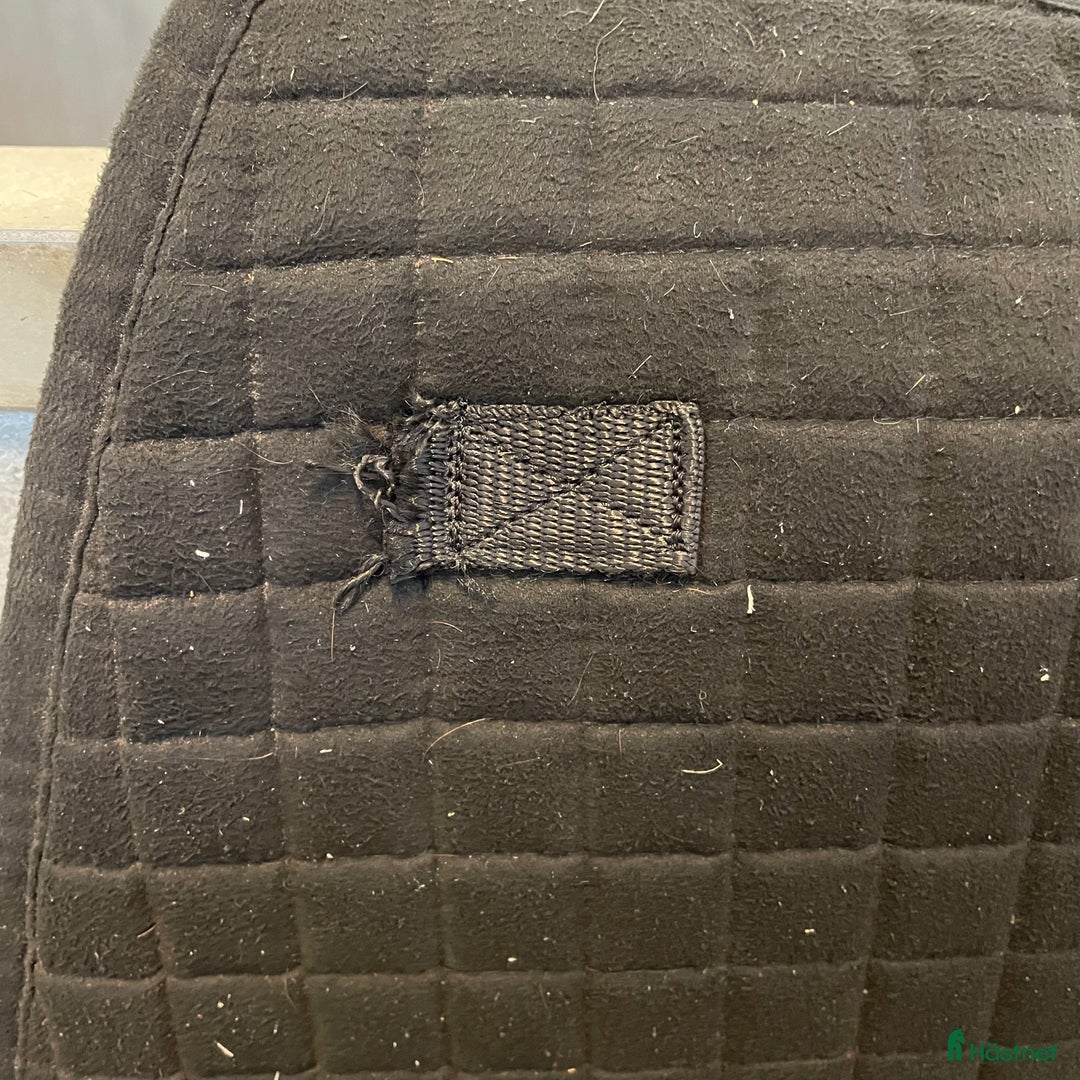 Schabrak & Vojlockar hästutrustning till salu: Diverse schabrak! i Gamleby - Annons 5