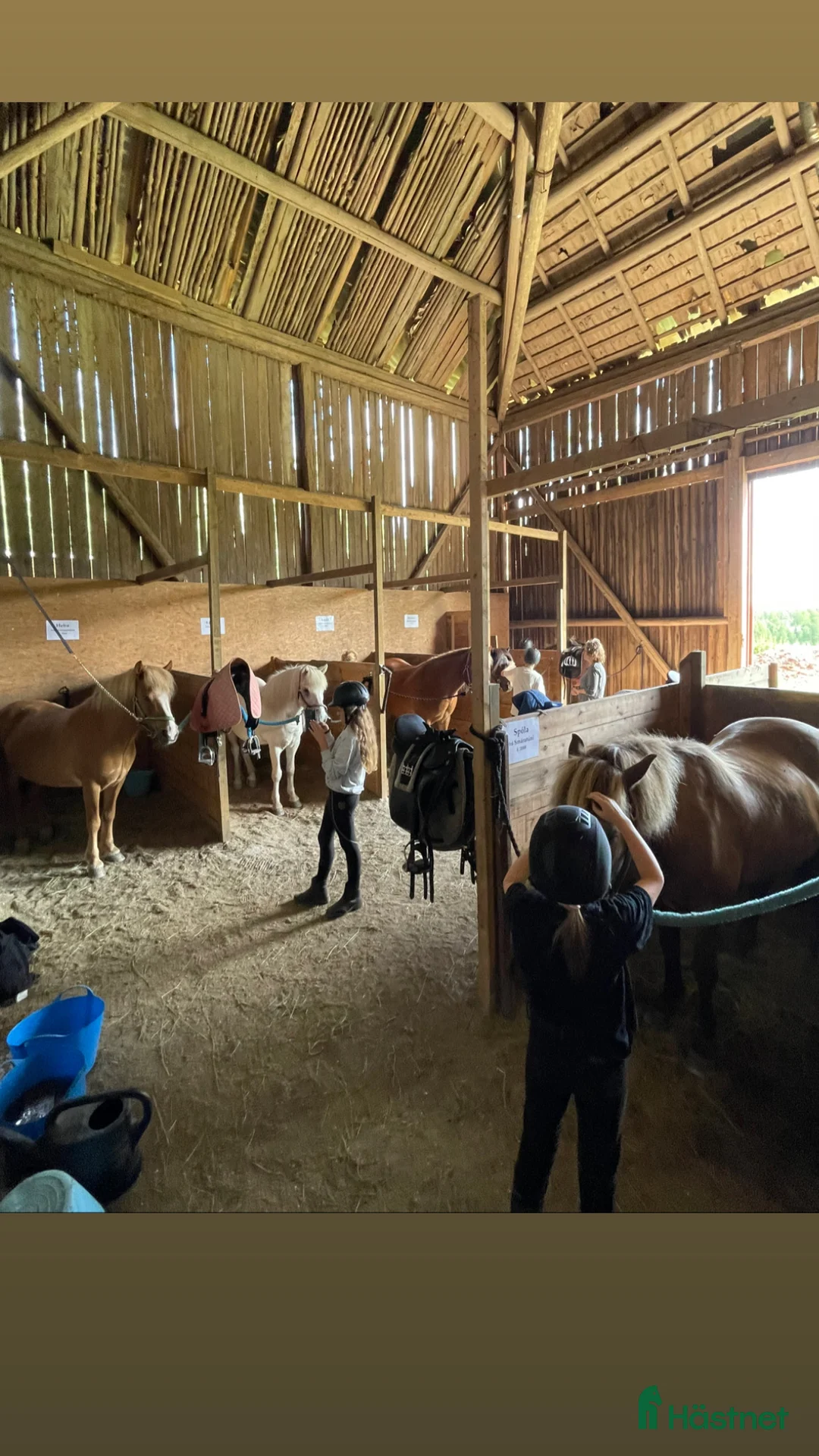  hästservice finnes: Ridläger i vackra Bergslagen! i Riddarhyttan - Annons 5