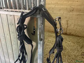 Övrig Hästutrustning hästutrustning Tömkörningsgjord med tömmar - Annons 4