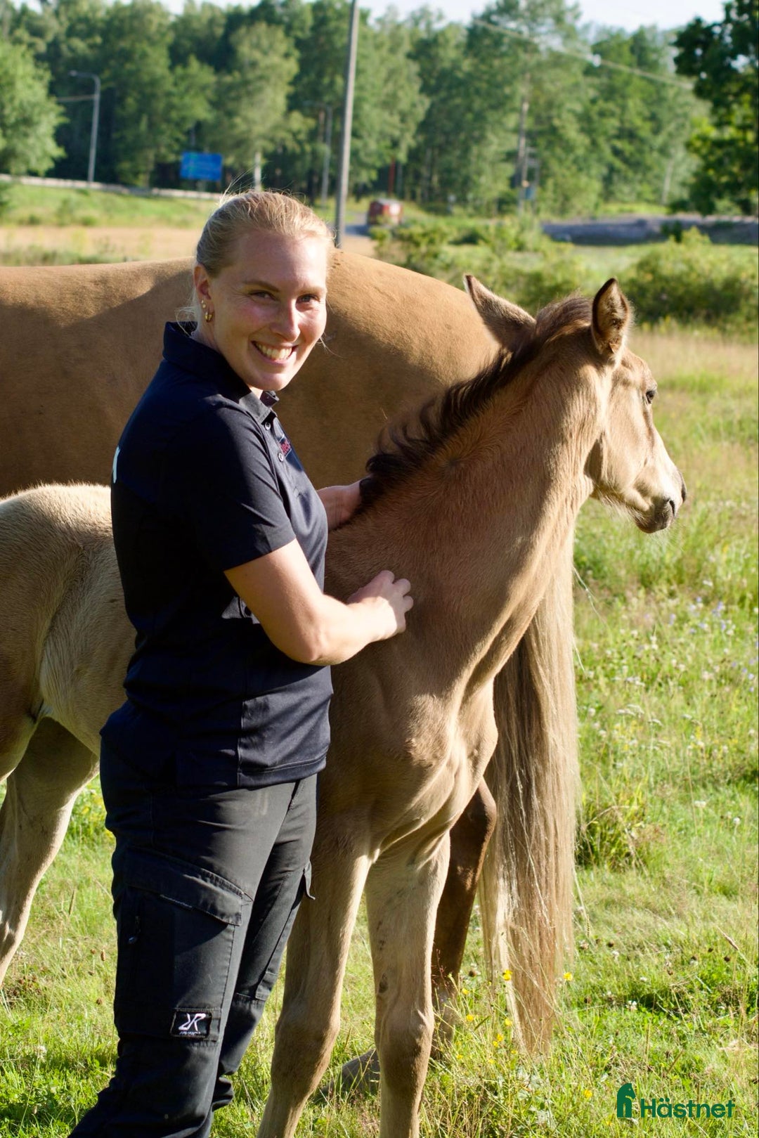  hästservice finnes: Rehabuppstallning/semesteruppstallning/inridning  i Kristdala - Annons 9