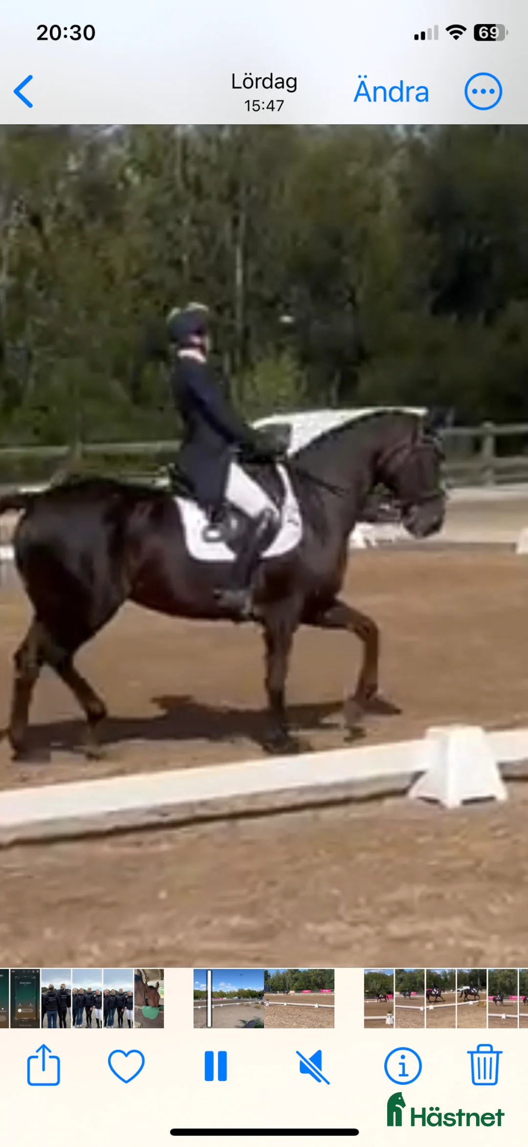  medryttarhäst finnes: Dressyrhäst söker medryttare. GP utbildad. i Eldsberga - Annons 2