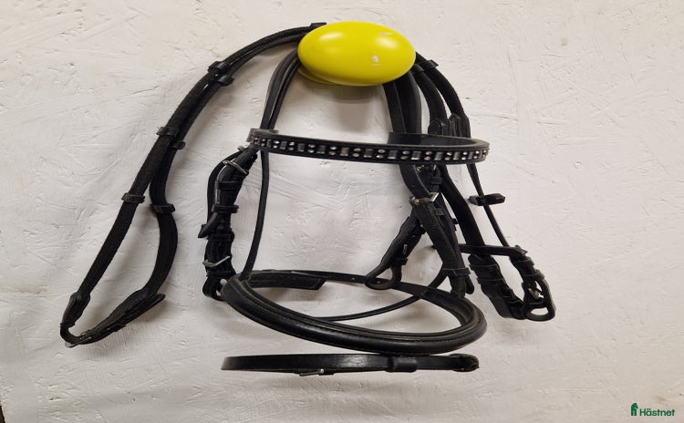 Träns hästutrustning till salu i Vadstena - Annons 10