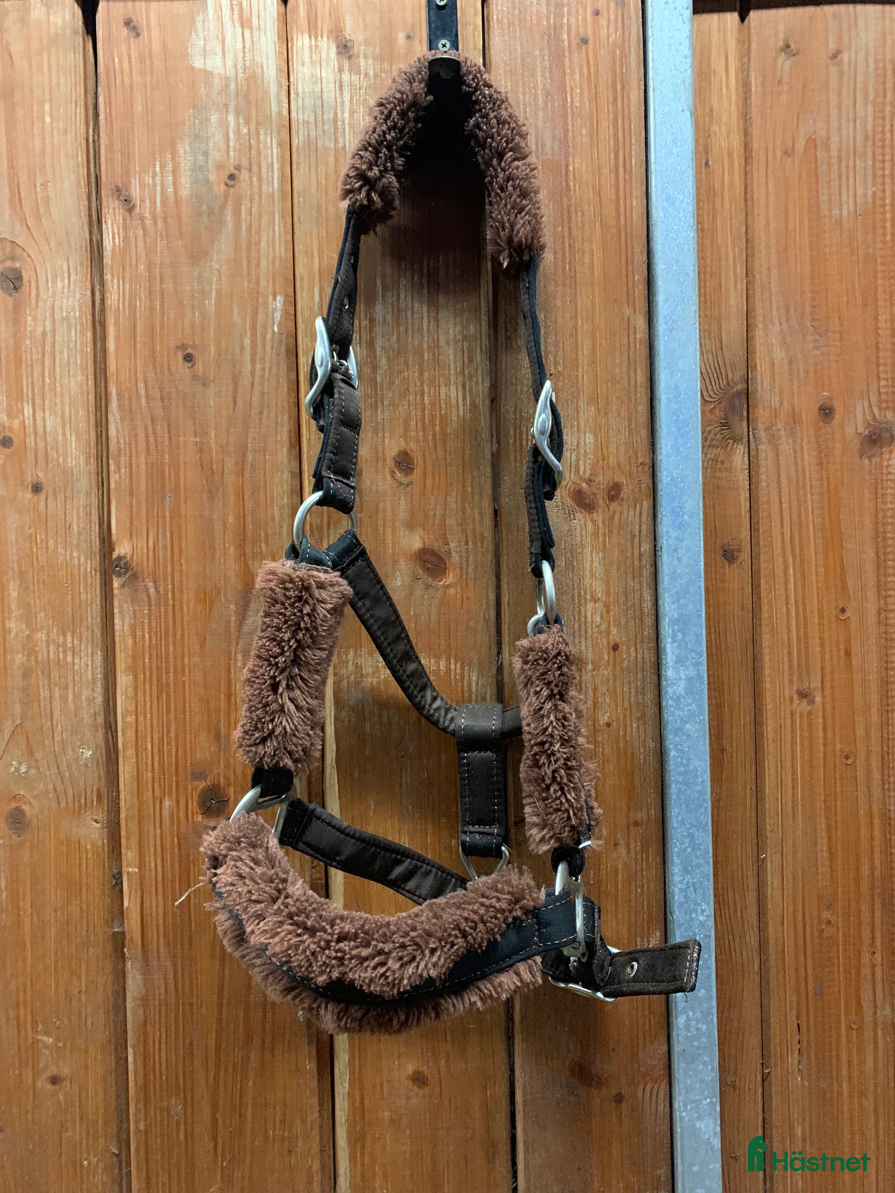 Övrig Hästutrustning hästutrustning SD Design grimma i Habo - Annons 16