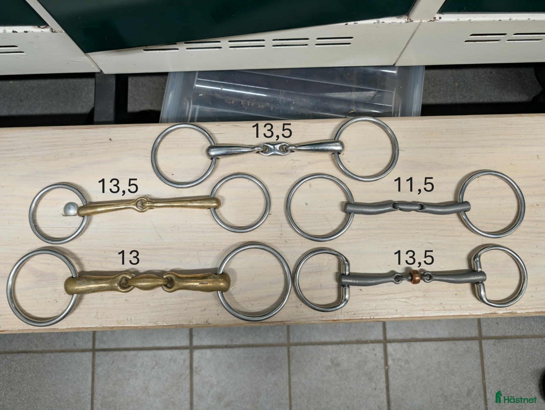 Bett hästutrustning till salu: Diverse bett i Staffanstorp - Annons 2