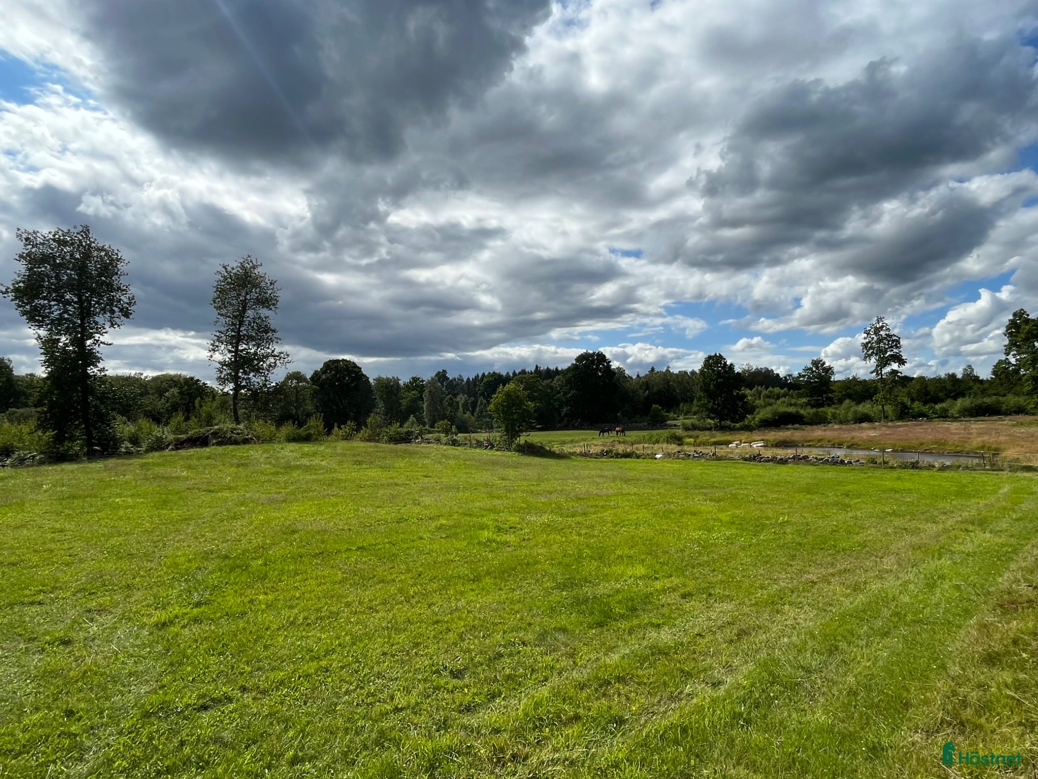  stallplats finnes: Stallplatser och naturbeten nordväst om Hässleholm - Annons 4