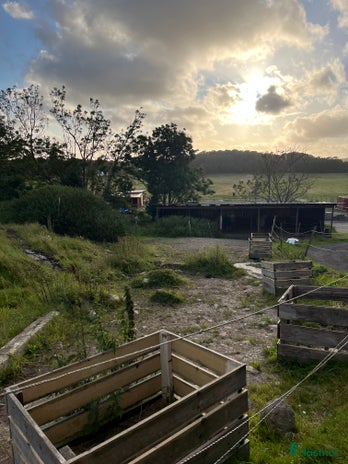 stallplats i Göteborg - Annons 10