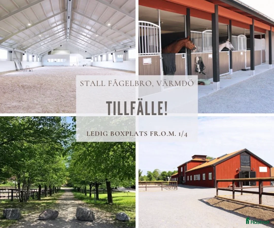  stallplats finnes: Boxplats på Stall Fågelbro! - Annons 1