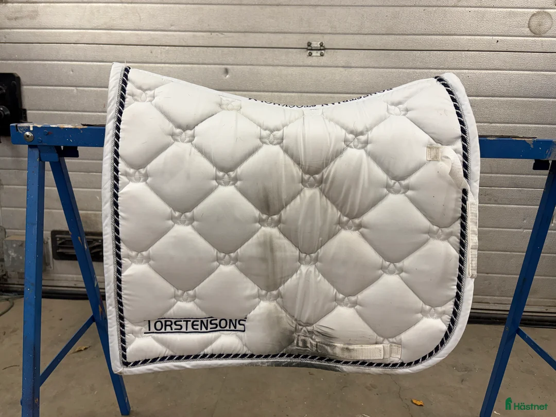 Sadeltillbehör hästutrustning till salu: Dressyrshabrak PS, ES och Mias (flera) - Annons 8