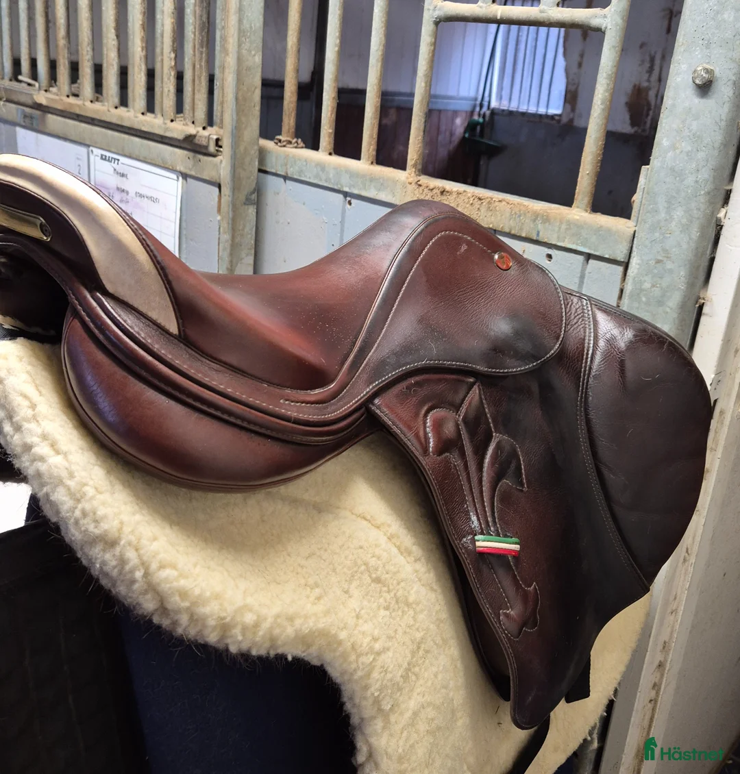 Sadlar hästutrustning till salu: Brun Prestige Arezzo  - Annons 3