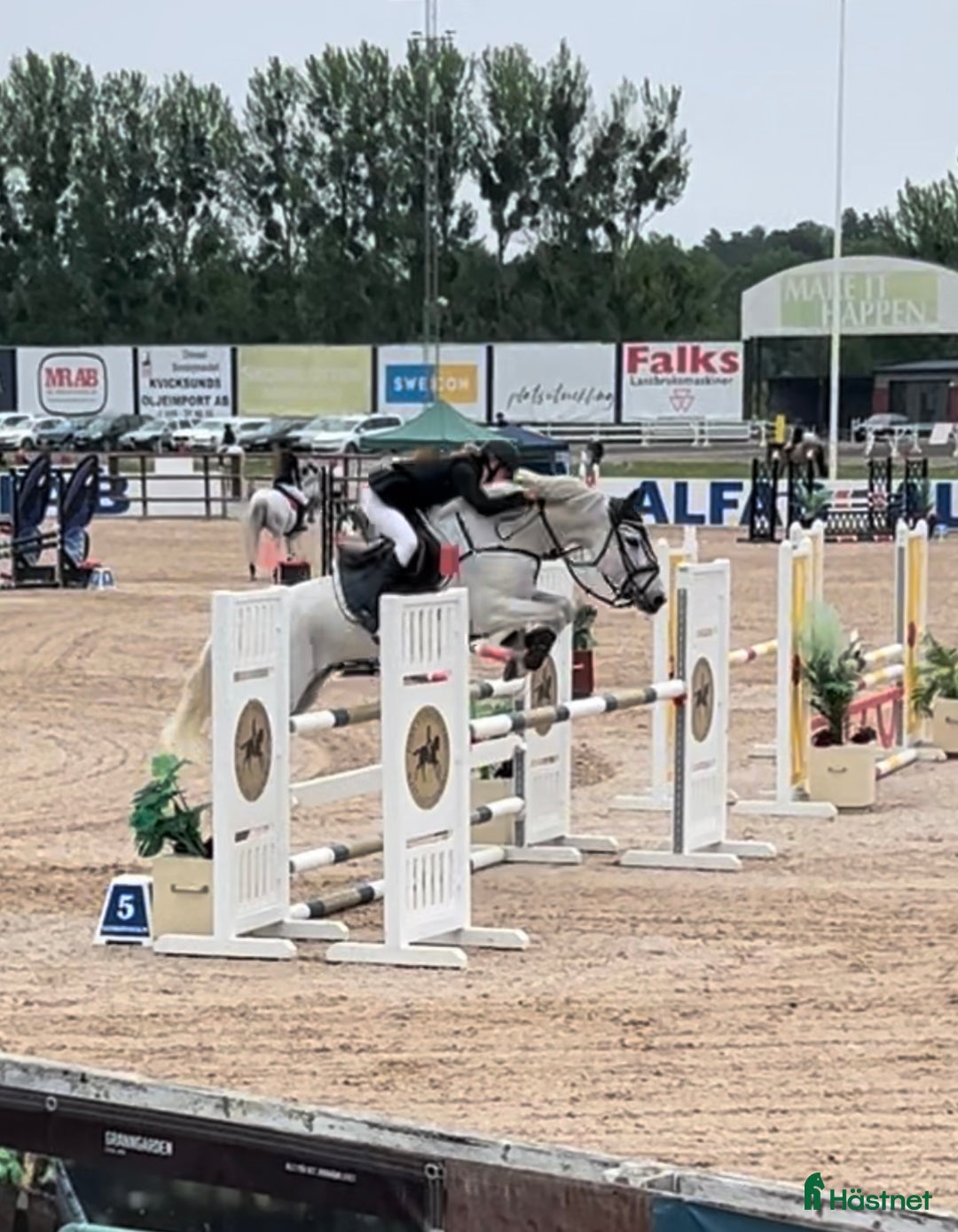  hästservice finnes: Ponnier mottages för träning/tävling/inridning i Björklinge - Annons 3