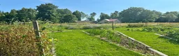  hästgårdar till salu: Gård med renoverat timmerhus på rofyllt läge i Ljungby - Annons 7