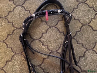 Övrig Hästutrustning hästutrustning till salu: Hästutrustning i Kalmar - Annons 10