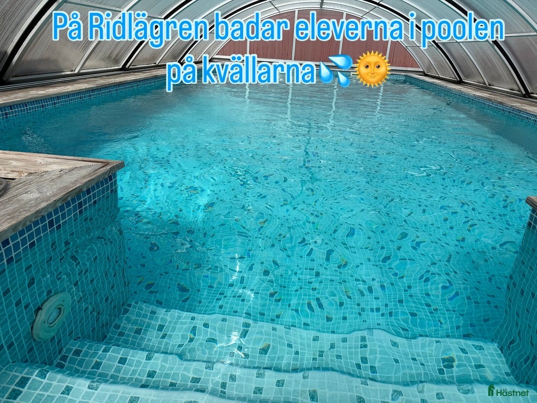  hästservice finnes: Julklappstips! Ridläger sommaren 2026 i Lidköping - Annons 5