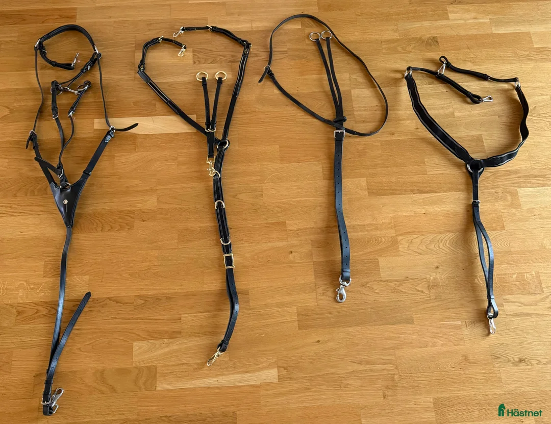 Övrig Hästutrustning hästutrustning till salu: Gjordar, martingal, tyglar, mm i Vikingstad - Annons 2
