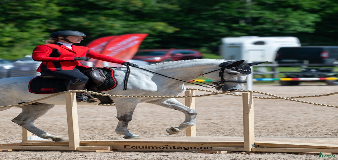 Galleribild {{count}}