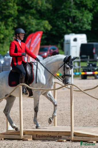 Galleribild {{count}}