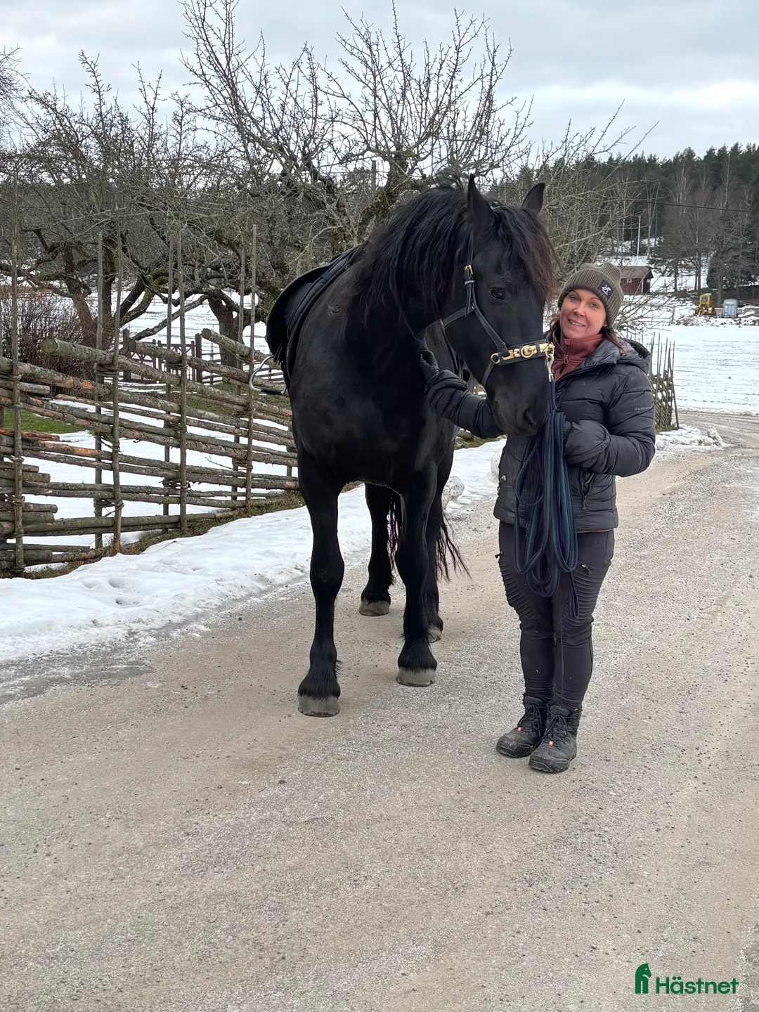 Galleribild {{count}}