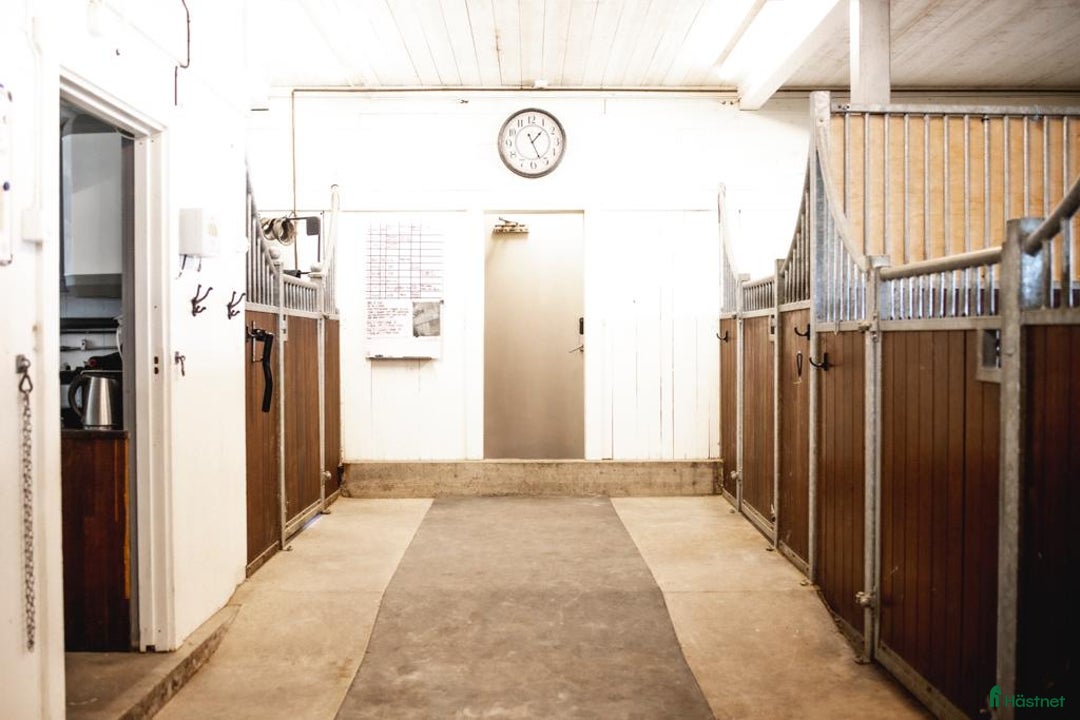  stallplats finnes: Fullservice alla dagar året om i Märsta - Annons 6