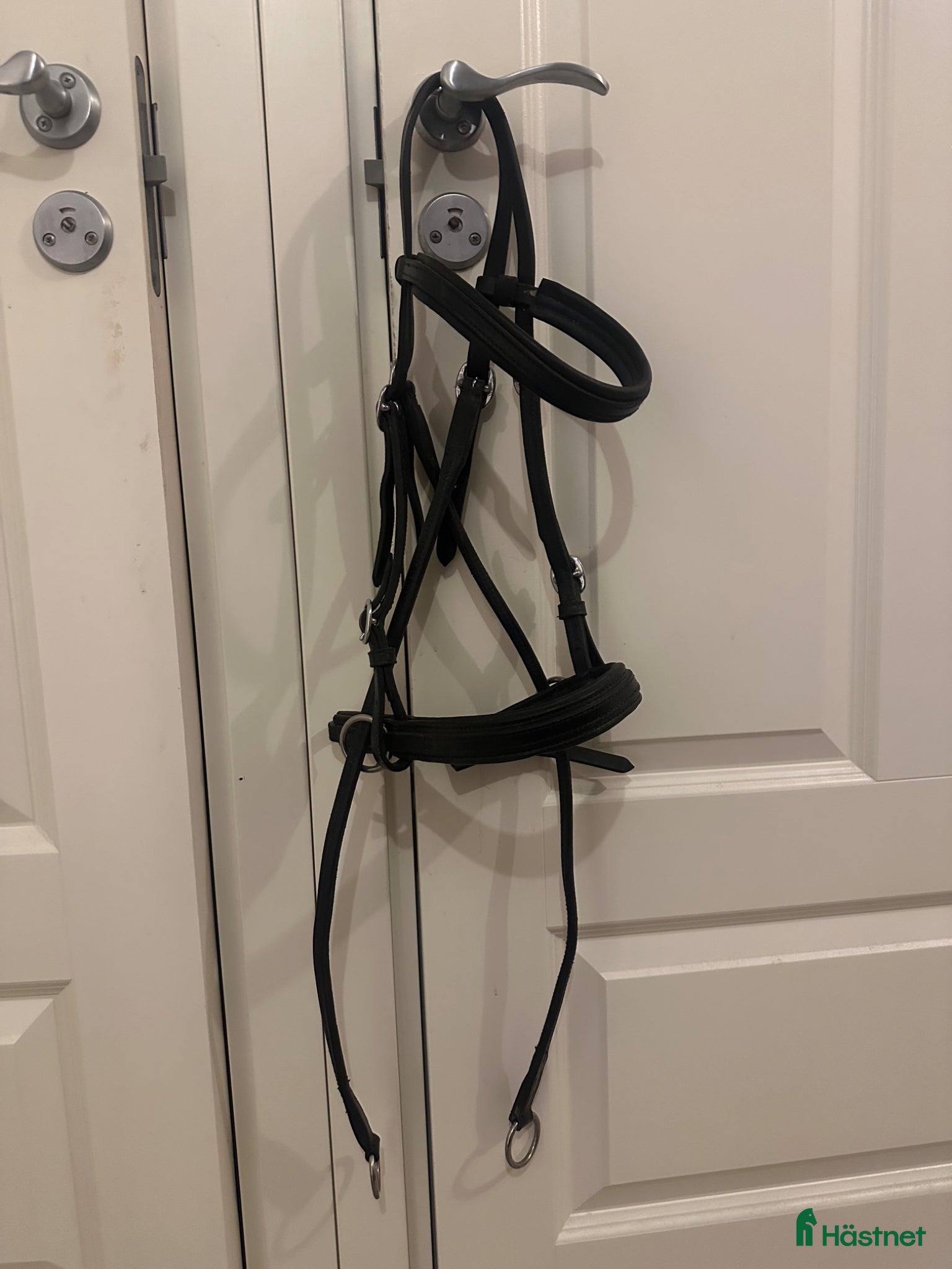 Träns hästutrustning Globus Winnetou bettlöst träns - Annons 9