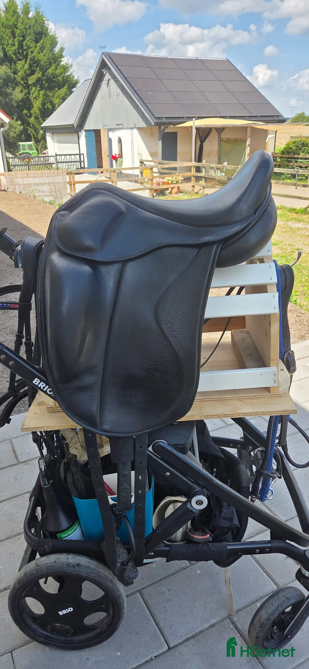 Sadlar hästutrustning till salu: EQUES PERFORMACE 17" - Annons 1