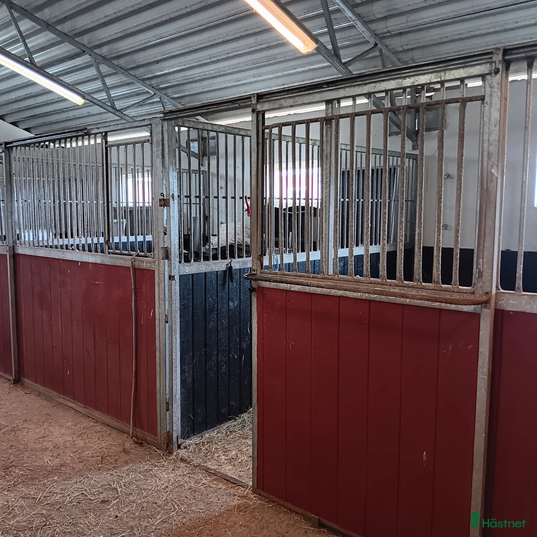 Stallinredning, stängsel & gård övrig utrustning till salu: Stallboxar 8st - Annons 1