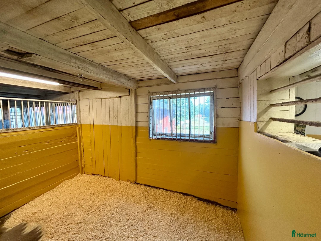  stallplats finnes: Lösdriftsplats Lerum - Annons 9