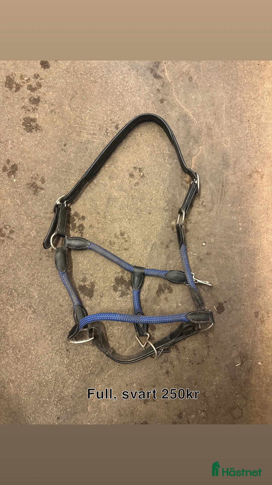 Övrig Hästutrustning hästutrustning till salu: Lite blandade saker - Annons 6