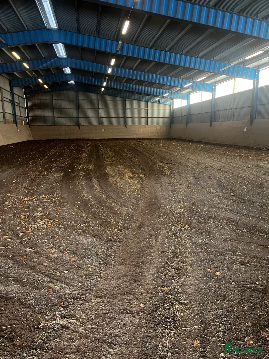  stallplats finnes: Stallplatser - Annons 2