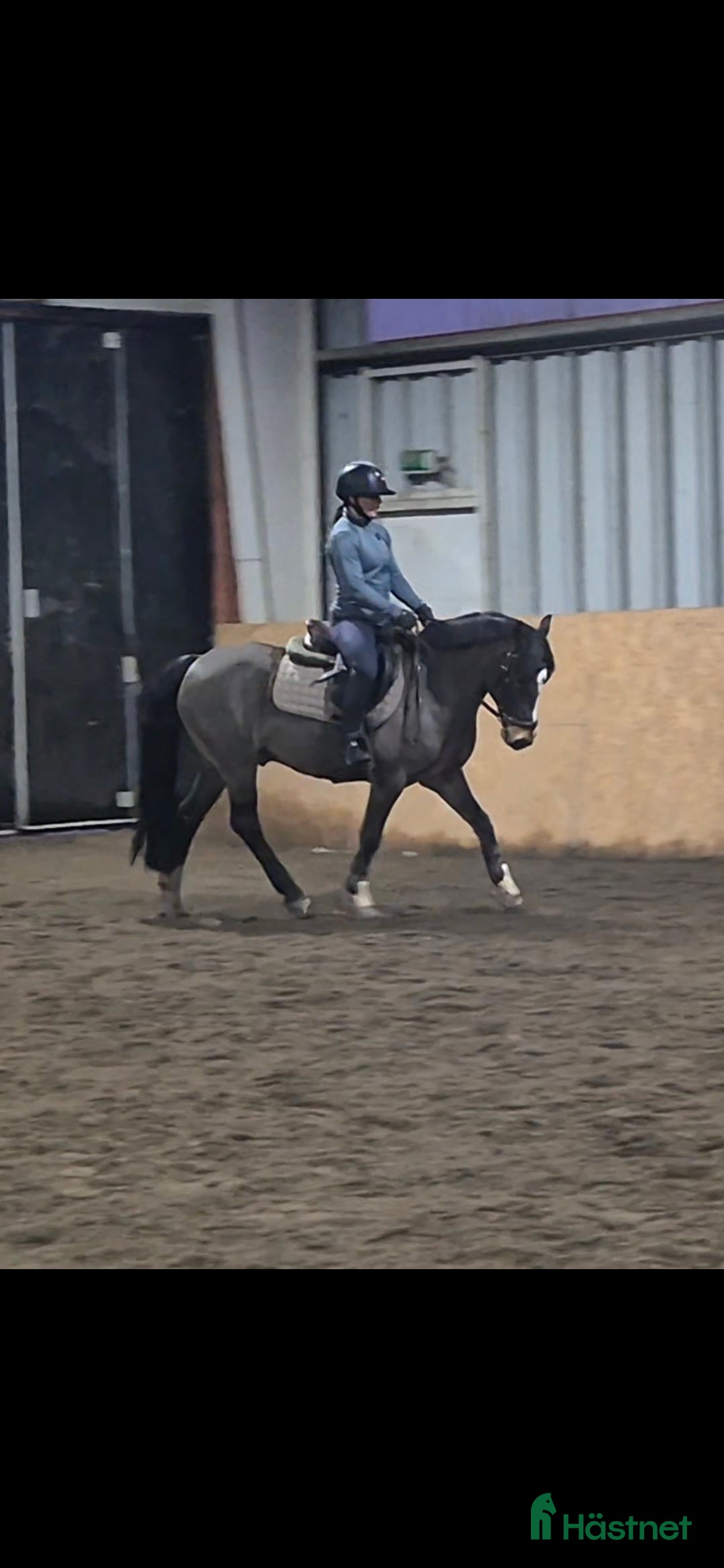 Hoppning hästar till salu: Trevlig Allroundponny  i Landsbro - Annons 1