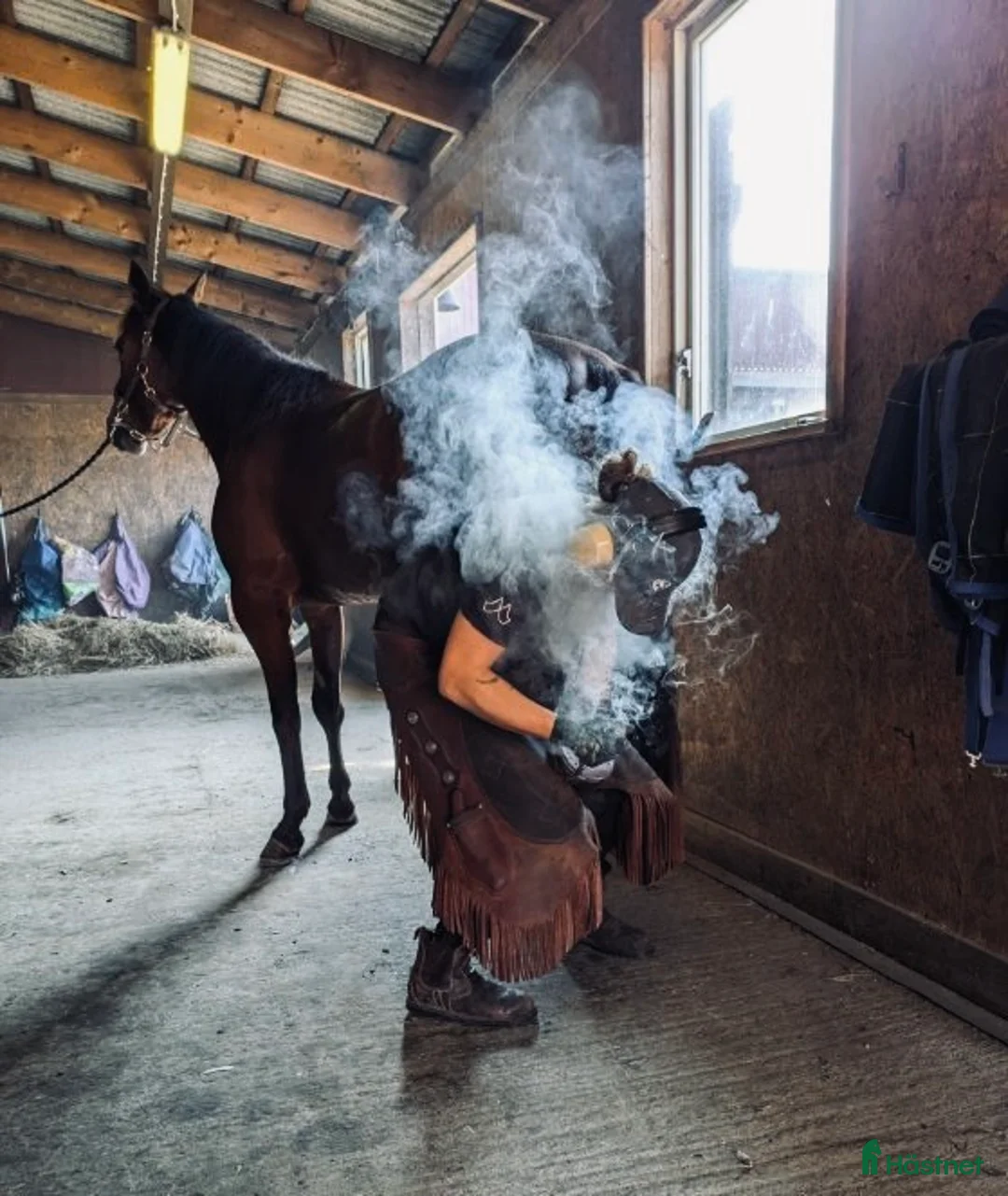 Galleribild {{count}}