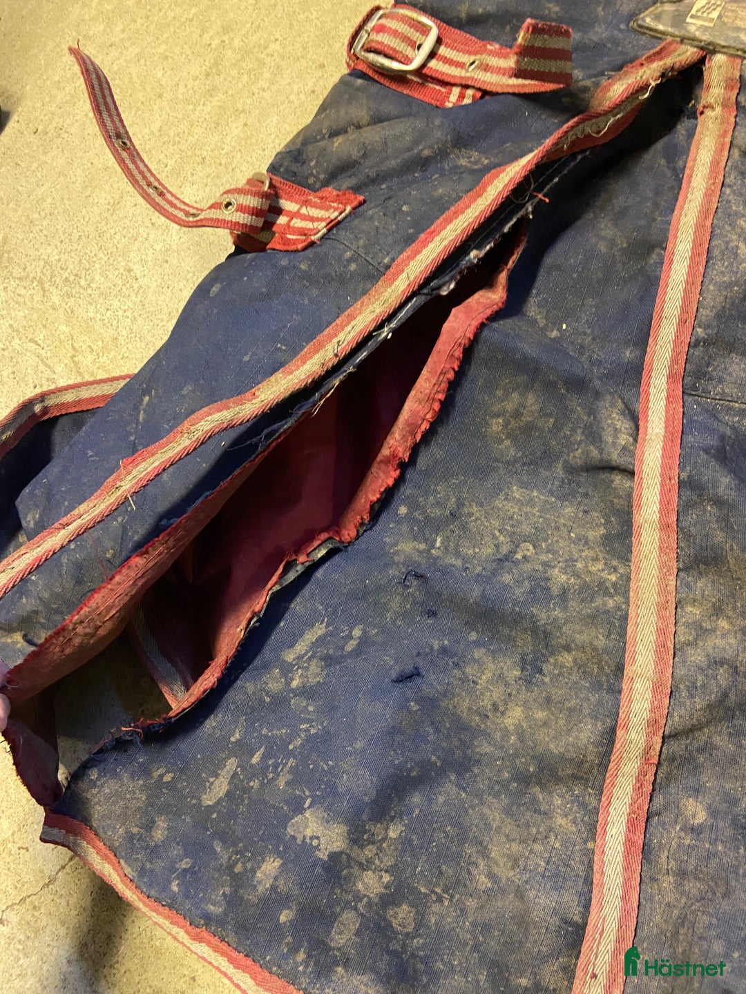 Täcken hästutrustning till salu: Utetäcken strl 155 i Linneryd - Annons 4