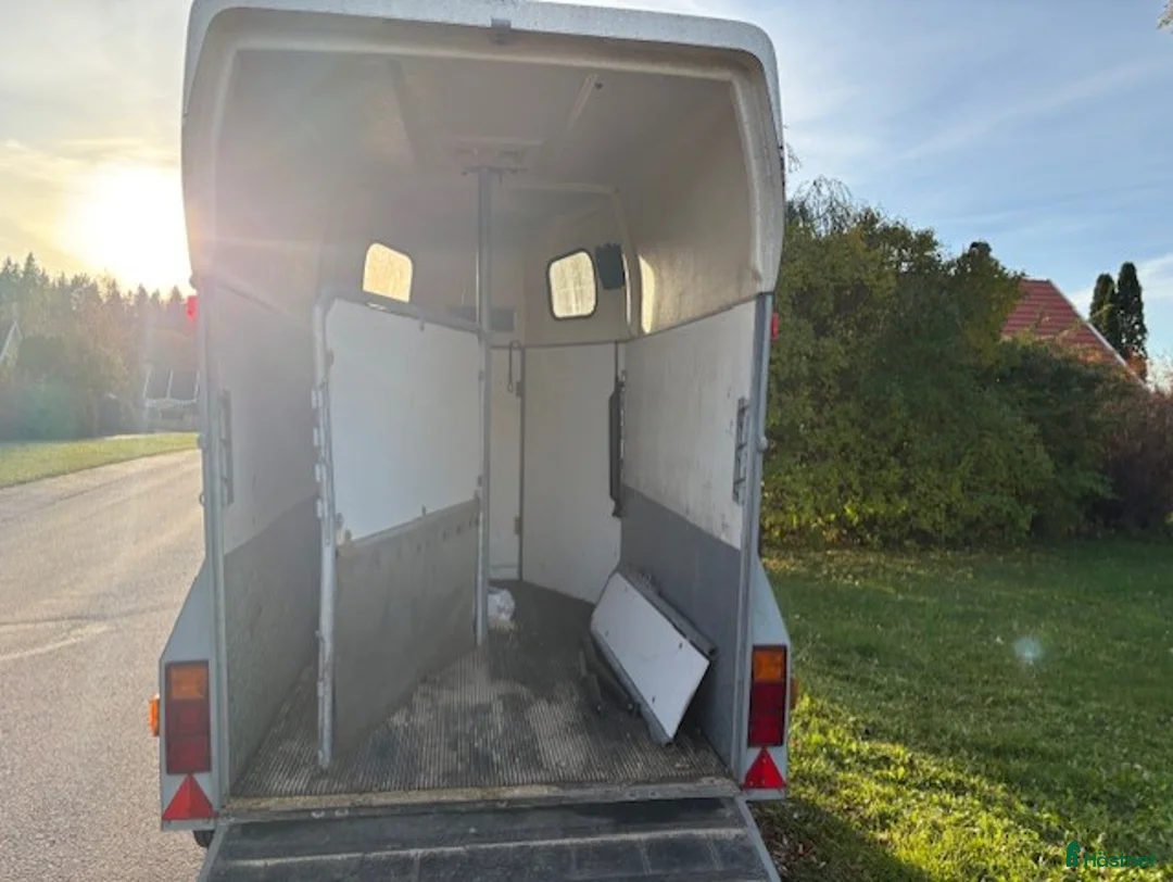 Hästtransporter  fordon & transport till salu: Star Trailer Safir - Hästtransport i Storvreta - Annons 8