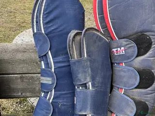 Övrig Hästutrustning hästutrustning Transportskydd - Annons 3