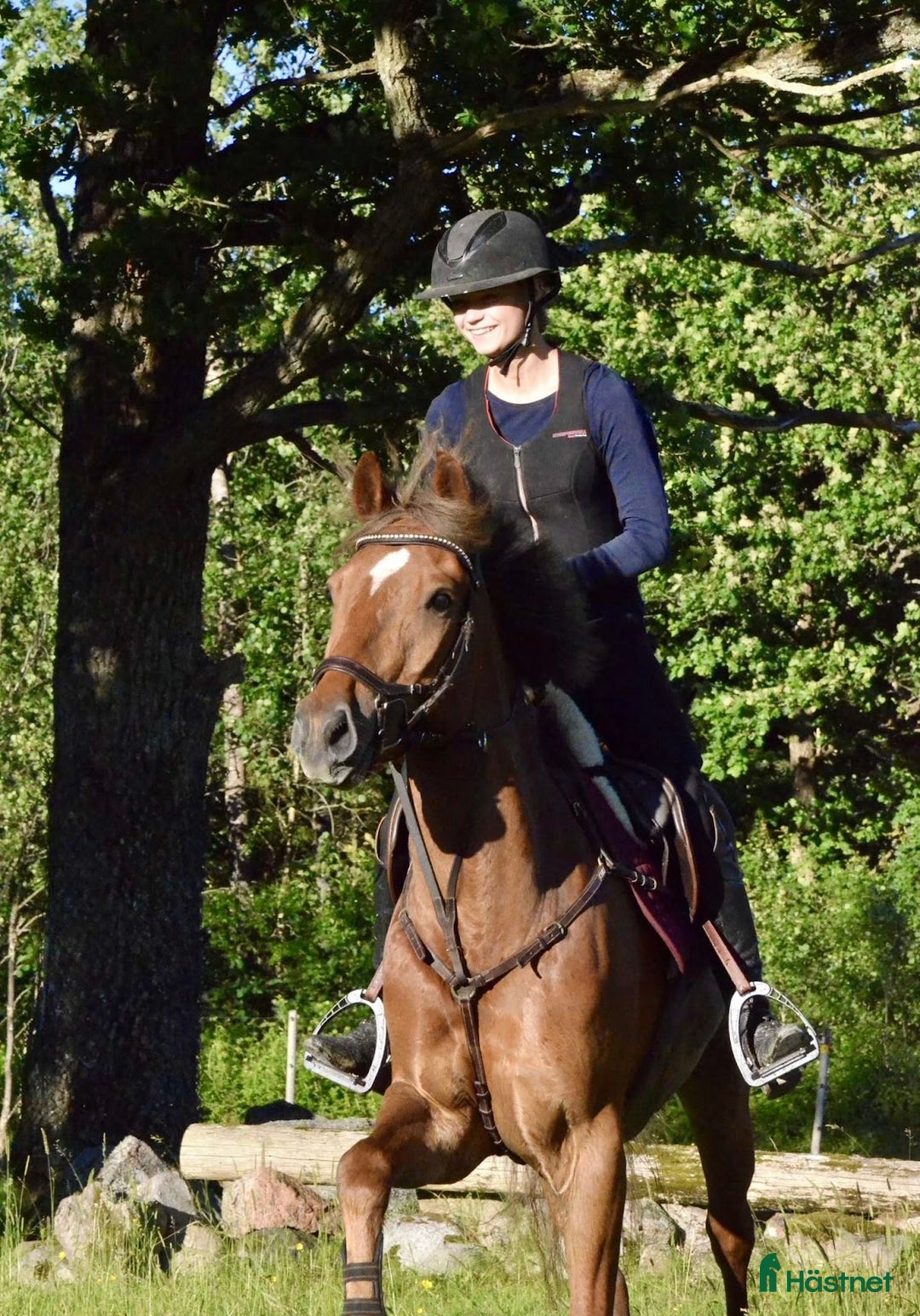 Allround hästar till salu: En på miljonen🌟 i Göta - Annons 1