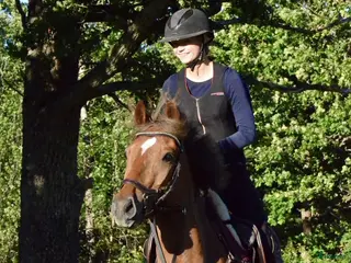 hästar En på miljonen🌟 - Annons 10