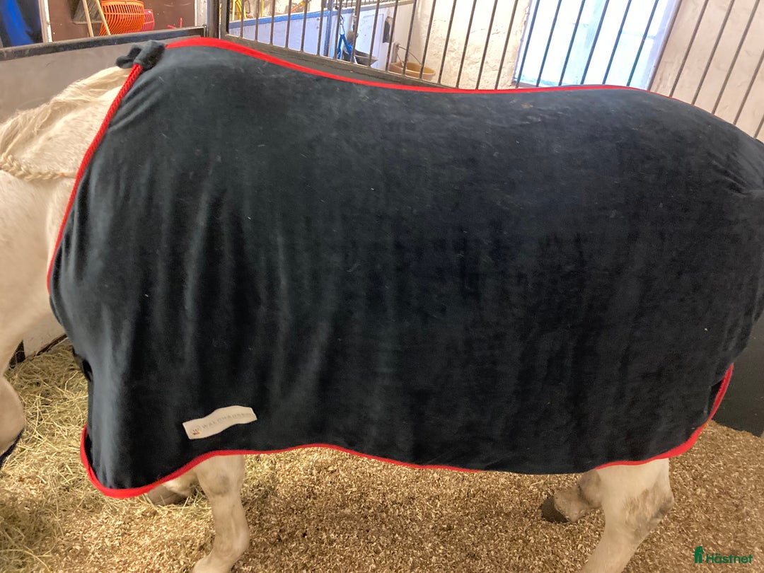 Täcken hästutrustning till salu: Blått fleece täcke  i Alnö - Annons 3