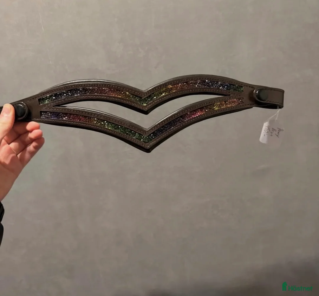 Övrig Hästutrustning hästutrustning till salu: Regnbågspannband Dubbel  - Annons 1