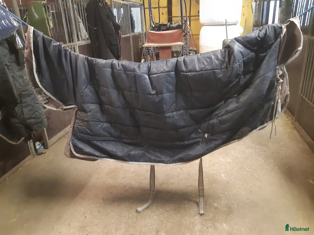 Täcken hästutrustning till salu: Bucas 300g fast hals stl. 135 i Sollebrunn - Annons 3